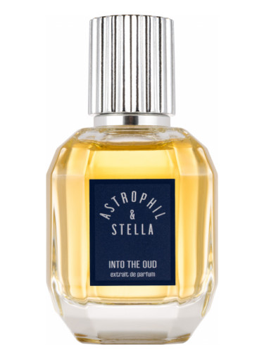 عطر ادکلن اینتو دِ عود استروفیل و استلا - Into The Oud Astrophil & Stella - بررسی، قیمت و خرید