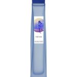 عطر ادکلن کیجی فور هیم آنیایک - Kiji for Him Annayake - بررسی، قیمت و خرید