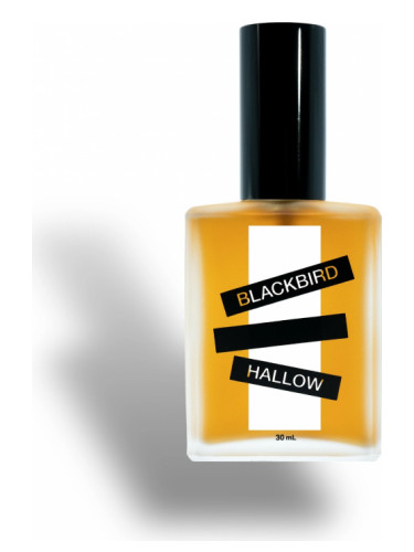 عطر ادکلن هالو وی تو بِلَک‌بِرد - Hallow V.2 Blackbird - بررسی، قیمت و خرید