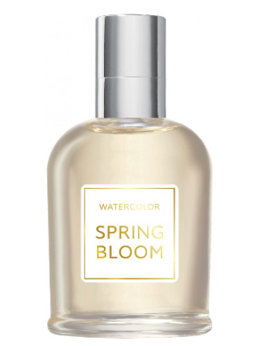عطر ادکلن اسپرینگ بلوم بروکارد - Spring Bloom Brocard - بررسی، قیمت و خرید