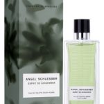 عطر ادکلن اسپریت دو ژینژمبر پور هوم انجل شلسر - Esprit de Gingembre Pour Homme Angel Schlesser - بررسی، قیمت و خرید
