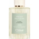 عطر ادکلن ایلانگ کانانگا کلوئه - Ylang Cananga Chloé - بررسی، قیمت و خرید