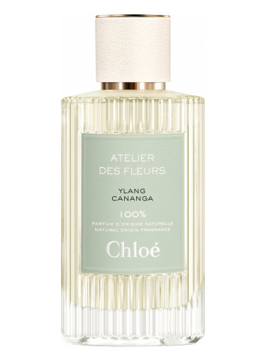 عطر ادکلن ایلانگ کانانگا کلوئه - Ylang Cananga Chloé - بررسی، قیمت و خرید
