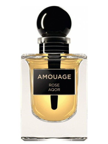عطر ادکلن رز اکور آمواژ - Rose Aqor Amouage - بررسی، قیمت و خرید