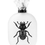 عطر ادکلن آلساندرو مانفرِدینی کاپیتان فاوست - Alessandro Manfredini Captain Fawcett's - بررسی، قیمت و خرید