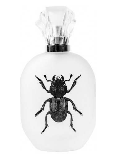 عطر ادکلن آلساندرو مانفرِدینی کاپیتان فاوست - Alessandro Manfredini Captain Fawcett's - بررسی، قیمت و خرید