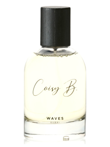 عطر ادکلن ویوز کویزبی - Waves Coisy B. - بررسی، قیمت و خرید