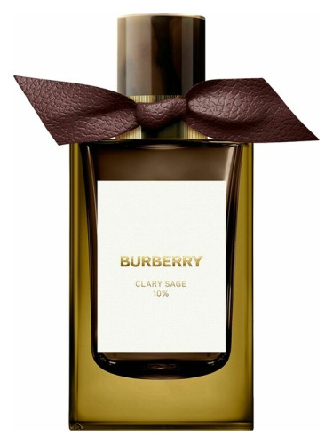عطر ادکلن کلری سیج بربری - Clary Sage Burberry - بررسی، قیمت و خرید
