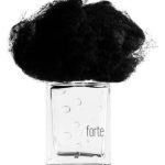 عطر ادکلن پیوژیا فورت فیلیپو سورچینلی - Pioggia Forte Filippo Sorcinelli - بررسی، قیمت و خرید