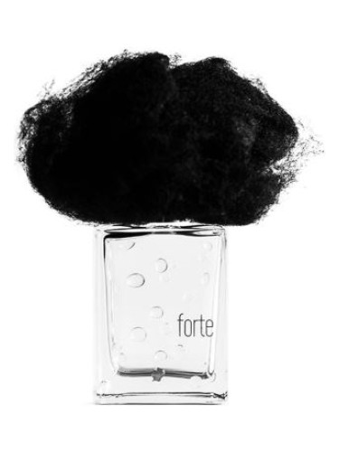 عطر ادکلن پیوژیا فورت فیلیپو سورچینلی - Pioggia Forte Filippo Sorcinelli - بررسی، قیمت و خرید