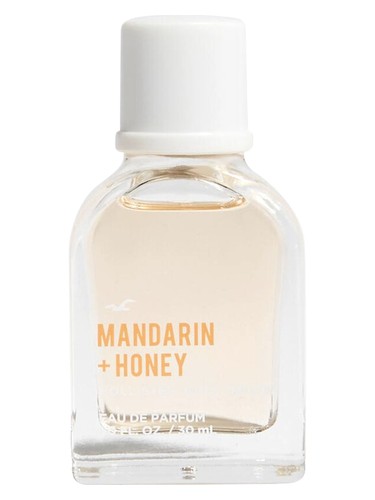 عطر ادکلن ماندارین هانی هالیستر - Mandarin + Honey Hollister - بررسی، قیمت و خرید