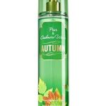 عطر ادکلن آتم پیر اند کشمیر وودز بث اند بادی ورکز - Autumn Pear & Cashmere Woods Bath & Body Works - بررسی، قیمت و خرید