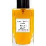 عطر ادکلن امبر ولی بریلیانت ایتالیا - AMBER VALLEY BRILLIANT ITALY - بررسی، قیمت و خرید