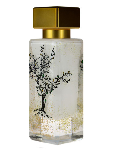 عطر ادکلن سیدرا الجزیره پرفیومز - Sidra Al-Jazeera Perfumes - بررسی، قیمت و خرید