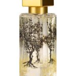 عطر ادکلن سیدرا وود الجزیره پرفیومز - Sidra Wood Al-Jazeera Perfumes - بررسی، قیمت و خرید