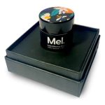 عطر ادکلن مل سالید پرفیوم برواناریز - Mel Solid Perfume Bravanariz - بررسی، قیمت و خرید
