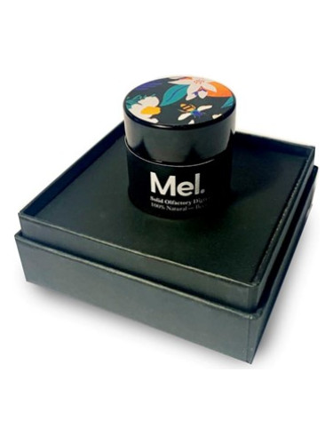 عطر ادکلن مل سالید پرفیوم برواناریز - Mel Solid Perfume Bravanariz - بررسی، قیمت و خرید