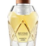 عطر ادکلن مگنتیک امبر بنتلی - Magnetic Amber Bentley - بررسی، قیمت و خرید