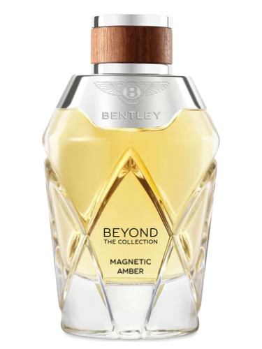 عطر ادکلن مگنتیک امبر بنتلی - Magnetic Amber Bentley - بررسی، قیمت و خرید