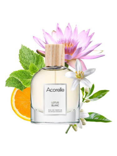 عطر ادکلن لوتوس بلانک آکورل - Lotus Blanc Acorelle - بررسی، قیمت و خرید