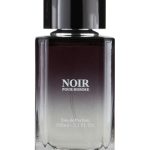 عطر ادکلن نویر پور هوم کمیل روشل - Noir Pour Homme Camille Rochelle - بررسی، قیمت و خرید