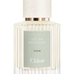 عطر ادکلن شن کلوئه - Chêne Chloé - بررسی، قیمت و خرید