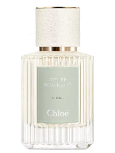 عطر ادکلن شن کلوئه - Chêne Chloé - بررسی، قیمت و خرید