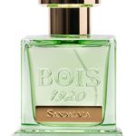 عطر ادکلن ساندلویا بویس ۱۹۲۰ - Sandalvia Bois 1920 - بررسی، قیمت و خرید