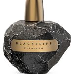 عطر ادکلن فلامینگو بلک کلیف پرفیومز - Flamingo Blackcliff Parfums - بررسی، قیمت و خرید