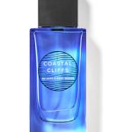عطر ادکلن کوستال کلیفس بث اند بادی ورکس - Coastal Cliffs Bath & Body Works - بررسی، قیمت و خرید