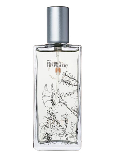 عطر ادکلن فراند بورن پرفیومری - Frond Burren Perfumery - بررسی، قیمت و خرید