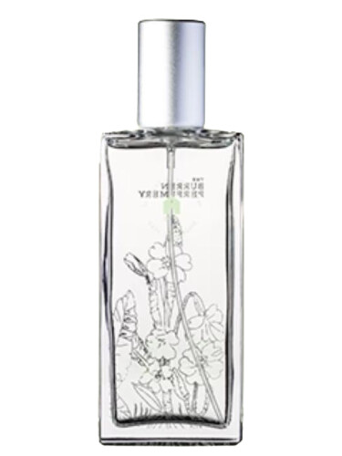 عطر ادکلن اسپرینگ هاروست بارن پرفیومری - Spring Harvest Burren Perfumery - بررسی، قیمت و خرید