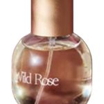عطر ادکلن وایلد رز بارن پرفیومری - Wild Rose Burren Perfumery - بررسی، قیمت و خرید