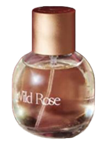 عطر ادکلن وایلد رز بارن پرفیومری - Wild Rose Burren Perfumery - بررسی، قیمت و خرید