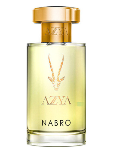 عطر ادکلن نابرو آسیا - Nabro AZYA - بررسی، قیمت و خرید