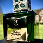 عطر ادکلن پَچولی نوآر اکستره دو پَرفیوم کریستین پروونزانو پرفیومز - Patchouli Noir Extrait De Parfum Christian Provenzano Parfums - بررسی، قیمت و خرید