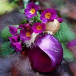 عطر ادکلن فار اوی اسپلندوریا ایون - Far Away Splendoria Avon - بررسی، قیمت و خرید