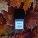 عطر ادکلن پولیش پوتیتوز بوهوباکو - Polish Potatoes Bohoboco - بررسی، قیمت و خرید