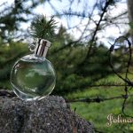 عطر ادکلن پرفیوم دز مروی اِرمِس - Parfum des Merveilles Hermès - بررسی، قیمت و خرید