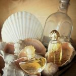 عطر ادکلن آمبر چاریر پارفومز - Ambre Charrier Parfums - بررسی، قیمت و خرید