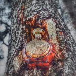 عطر ادکلن پیور نارکوتیک بودیسیا د ویکتوریوس - Pure Narcotic Boadicea the Victorious - بررسی، قیمت و خرید