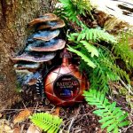 عطر ادکلن ریدیکال براون آرماف - Radical Brown Armaf - بررسی، قیمت و خرید