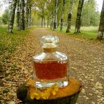 عطر ادکلن مون گرلن گِرلَن - Mon Guerlain Guerlain - بررسی، قیمت و خرید