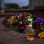 عطر ادکلن گرلیناد گرلن - Guerlinade Guerlain - بررسی، قیمت و خرید