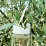 عطر ادکلن ایلوژیون تونکا سولر بوتگا ونتا - Illusione Tonka Solaire Bottega Veneta - بررسی، قیمت و خرید