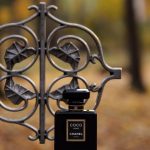 عطر ادکلن کوکو نوآر شنل - Coco Noir Chanel - بررسی، قیمت و خرید