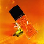 عطر ادکلن ناکترنز د کارون کارُن - Nocturnes de Caron Caron - بررسی، قیمت و خرید