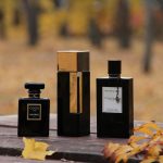 عطر ادکلن کوکو نوآر شنل - Coco Noir Chanel - بررسی، قیمت و خرید