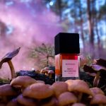 عطر ادکلن مجیک ماشرومز بوهوبوکو - Magic Mushrooms Bohoboco - بررسی، قیمت و خرید