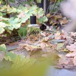 عطر ادکلن بِیک آکرو - Bake Akro - بررسی، قیمت و خرید